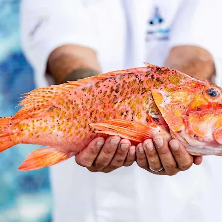 أجنحة رويال ذا هايد أواي كورالز 5*